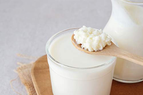 Kefir latte coltura viva grani 20 gr Yogurt bio Prodotto in Italia con istruzioni