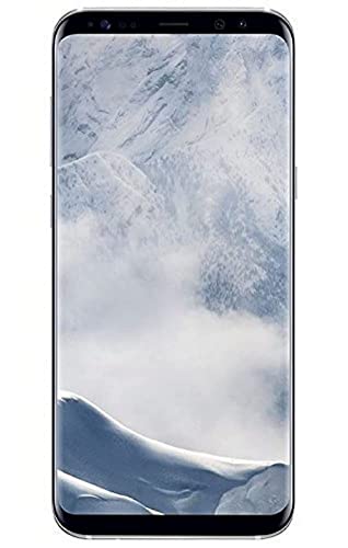 Samsung Galaxy S8 + Smartphone (Display Touch da 6,2 pollici, memoria 64 GB, Android) argento titanio