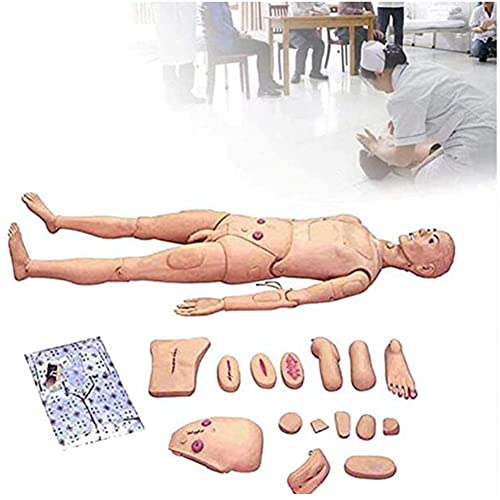 HIMFL Avanzate Funzione Completa Cura del paziente Simulatore Maschio e Femmina Manichino per addestramento Infermieristico Modello anatomico Umano per la Formazione Medica Infermieristica