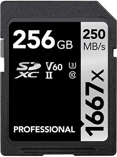 Schede SD Scheda di memoria Extreme Pro SDXC UHS-I da 256 GB - C10, U3, V30, 4K UHD, scheda SD - SDSDSDXXD-256G-GN4IN