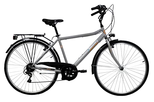 Discovery Bicicletta Uomo, Bici Trekking Manhattan 28'' Cambio Shimano 6 velocità, Colore Metal, Silver Metallizzato, 28
