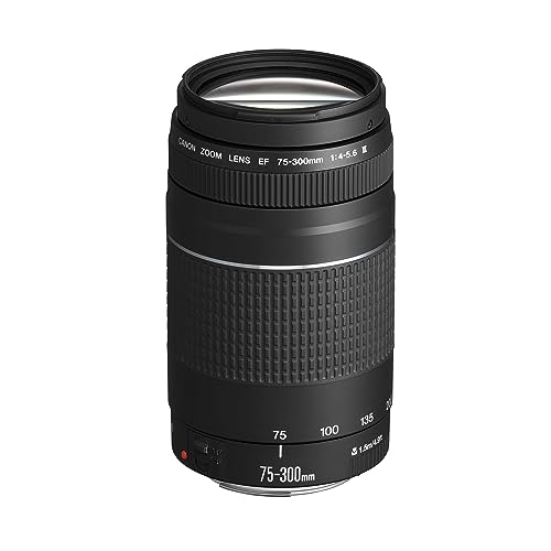 Canon Teleobiettivo Zoom, EF 75-300 mm f/4-5.6 III [Versione EU]