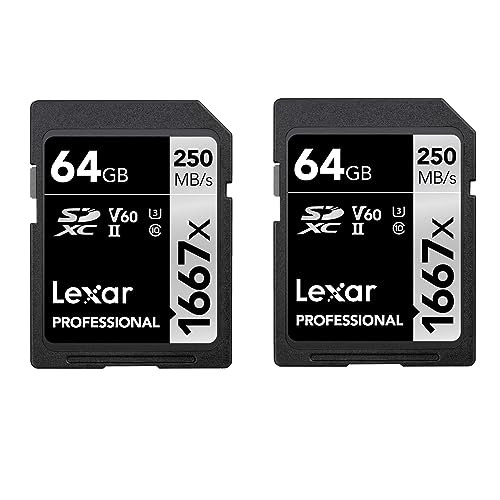 Lexar Professional 1667x Scheda SD 64 GB Set da 2, Scheda di memoria SDXC UHS-II, Fino a 250 MB/s di lettura, Class 10, U3, V60, SD per Fotografi Professionisti, Videografi (LSD1667064G-B2NAA)
