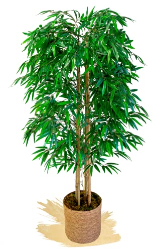 Maia Shop Alberi artificiali, tronchi naturali, realizzati con i migliori materiali, ideali per la decorazione domestica, pianta artificiale (150 cm, Bambù)