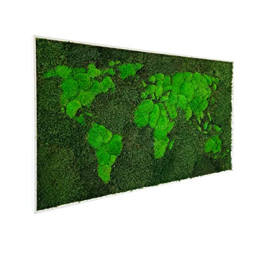 3D Moss World Mappa incorniciata - Muschio naturale stabilizzato della foresta e lichene nordico - decorazione interna della parete (112x65 cm, muschio verde - cornice in legno nero)